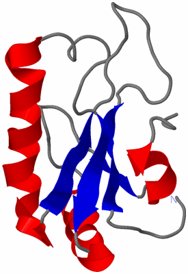 Image NMR Structure - model 1