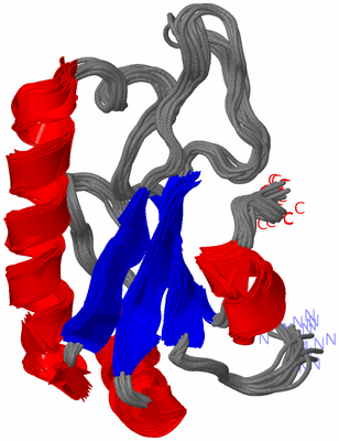 Image NMR Structure - all models