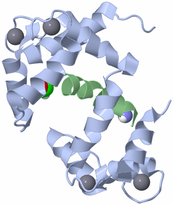 Image NMR Structure - model 1