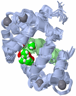 Image NMR Structure - all models