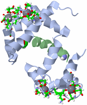 Image NMR Structure - model 1, sites