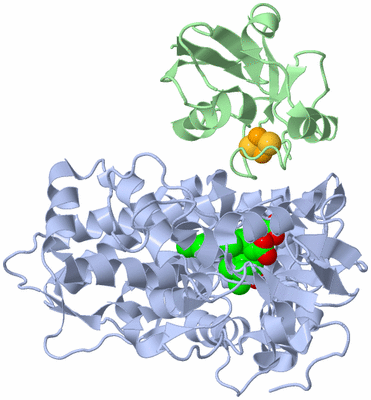 Image NMR Structure - model 1