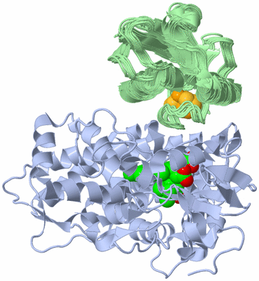 Image NMR Structure - all models