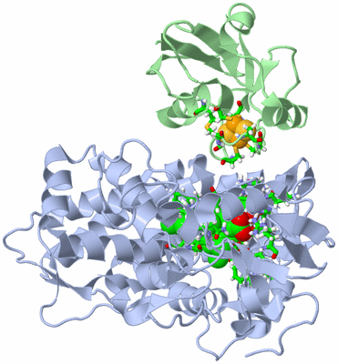 Image NMR Structure - model 1, sites