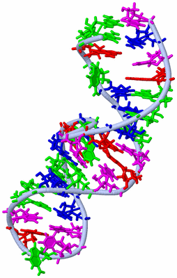 Image NMR Structure - model 1