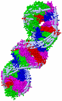 Image NMR Structure - all models