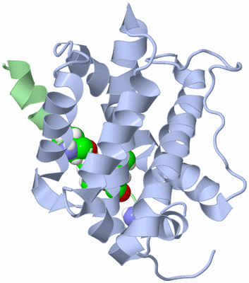 Image NMR Structure - model 1