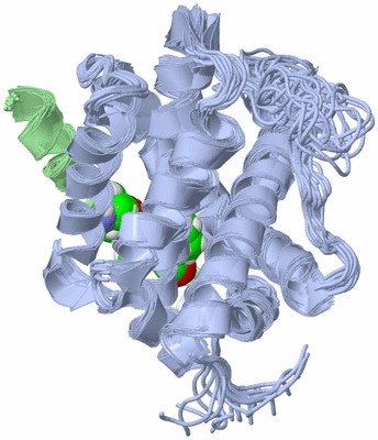 Image NMR Structure - all models