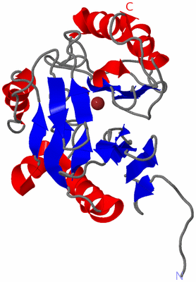 Image NMR Structure - model 1