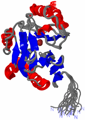 Image NMR Structure - all models