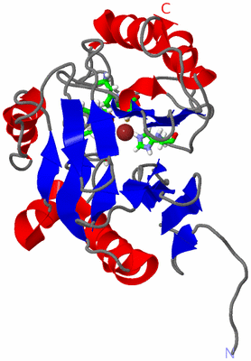 Image NMR Structure - model 1, sites