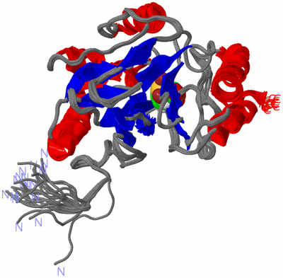 Image NMR Structure - all models