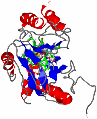 Image NMR Structure - model 1, sites