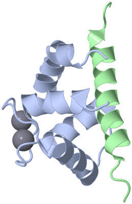 Image NMR Structure - model 1