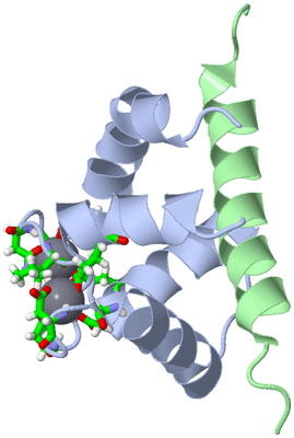 Image NMR Structure - model 1, sites