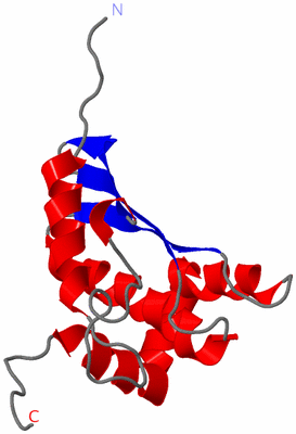 Image NMR Structure - model 1