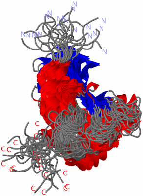 Image NMR Structure - all models