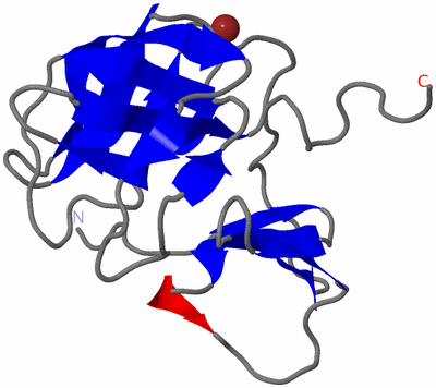 Image NMR Structure - model 1