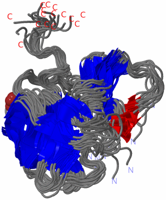 Image NMR Structure - all models