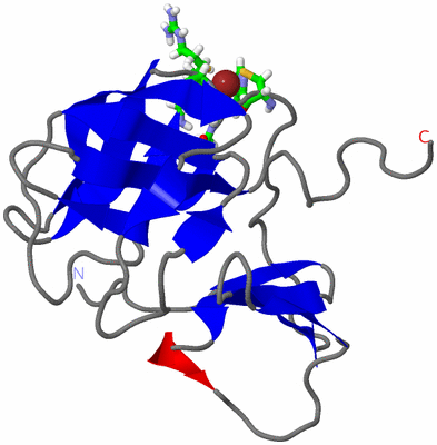 Image NMR Structure - model 1, sites