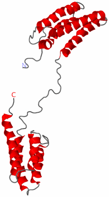 Image NMR Structure - model 1