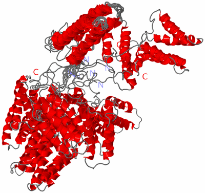 Image NMR Structure - all models