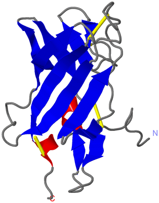 Image NMR Structure - model 1