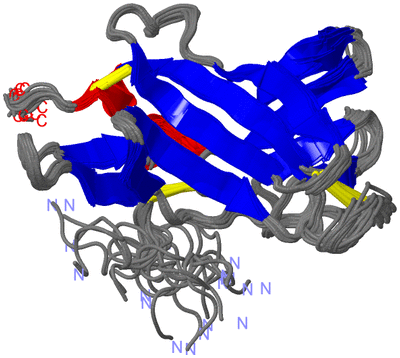 Image NMR Structure - all models