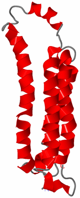 Image NMR Structure - model 1