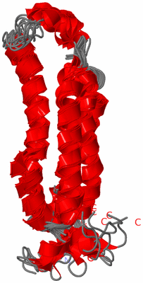 Image NMR Structure - all models