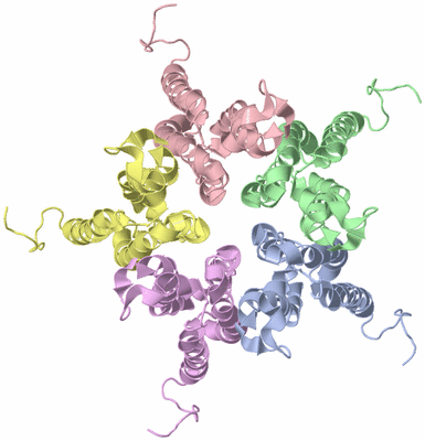 Image NMR Structure - model 1