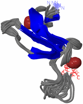 Image NMR Structure - all models