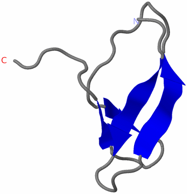 Image NMR Structure - model 1