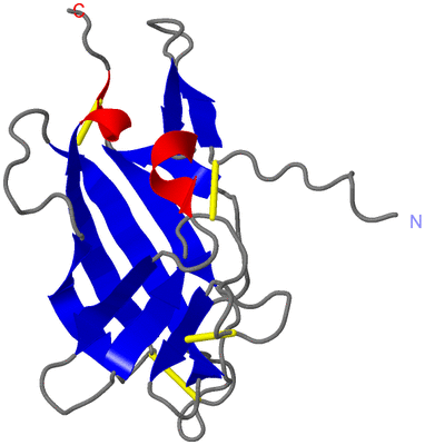 Image NMR Structure - model 1