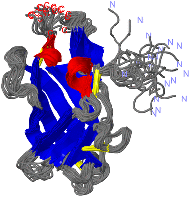 Image NMR Structure - all models