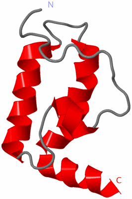 Image NMR Structure - model 1