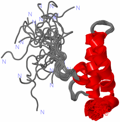 Image NMR Structure - all models