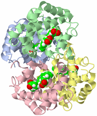 Image NMR Structure - model 1