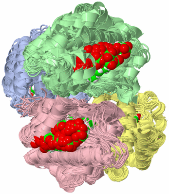 Image NMR Structure - all models