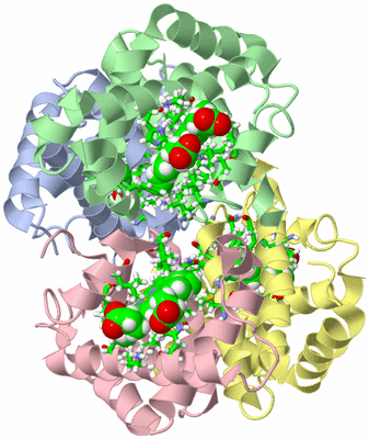 Image NMR Structure - model 1, sites