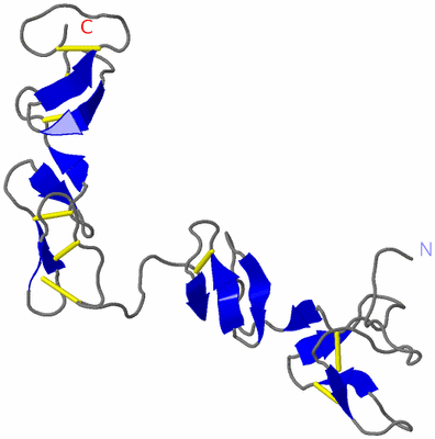 Image NMR Structure - model 1