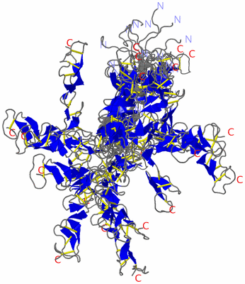 Image NMR Structure - all models