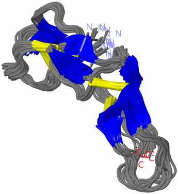 Image NMR Structure - all models