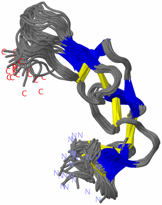 Image NMR Structure - all models