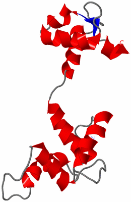 Image NMR Structure - model 1