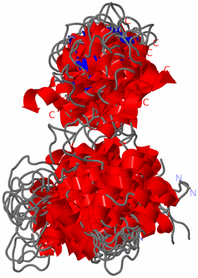 Image NMR Structure - all models