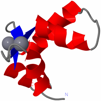 Image NMR Structure - model 1