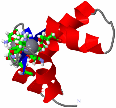 Image NMR Structure - model 1, sites