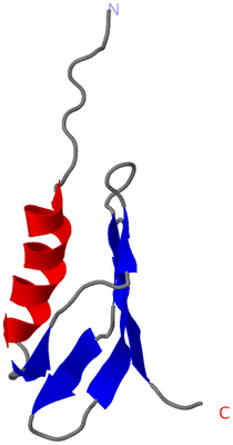 Image NMR Structure - model 1