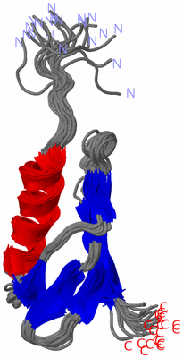 Image NMR Structure - all models